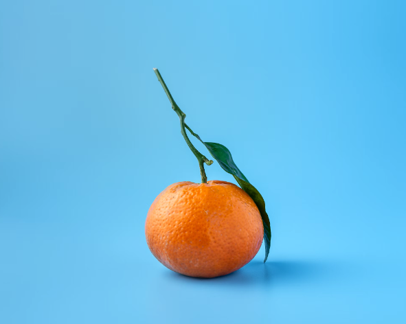 An orange on a light blue background
