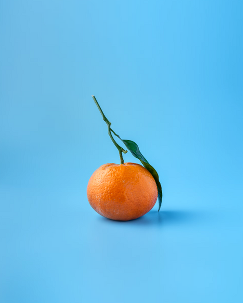 An orange on a light blue background