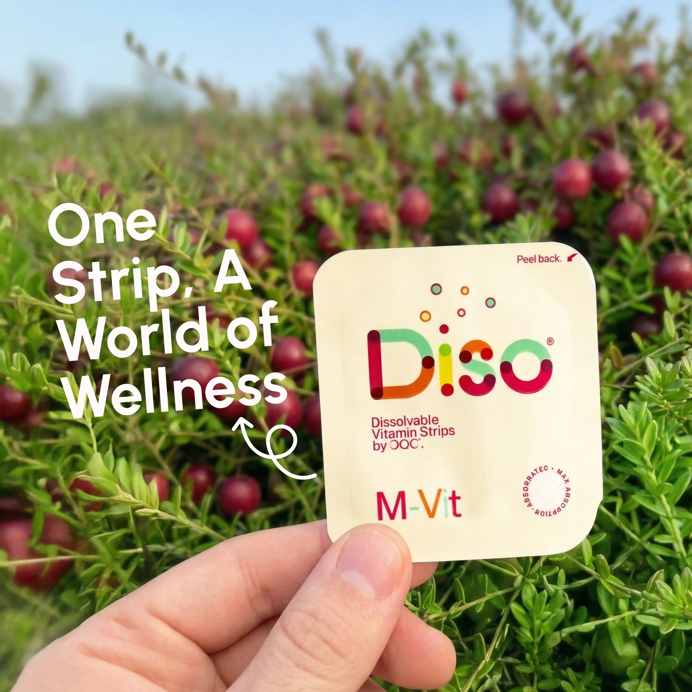 Diso® Dissolvable Strip Supplement | Multivitamin