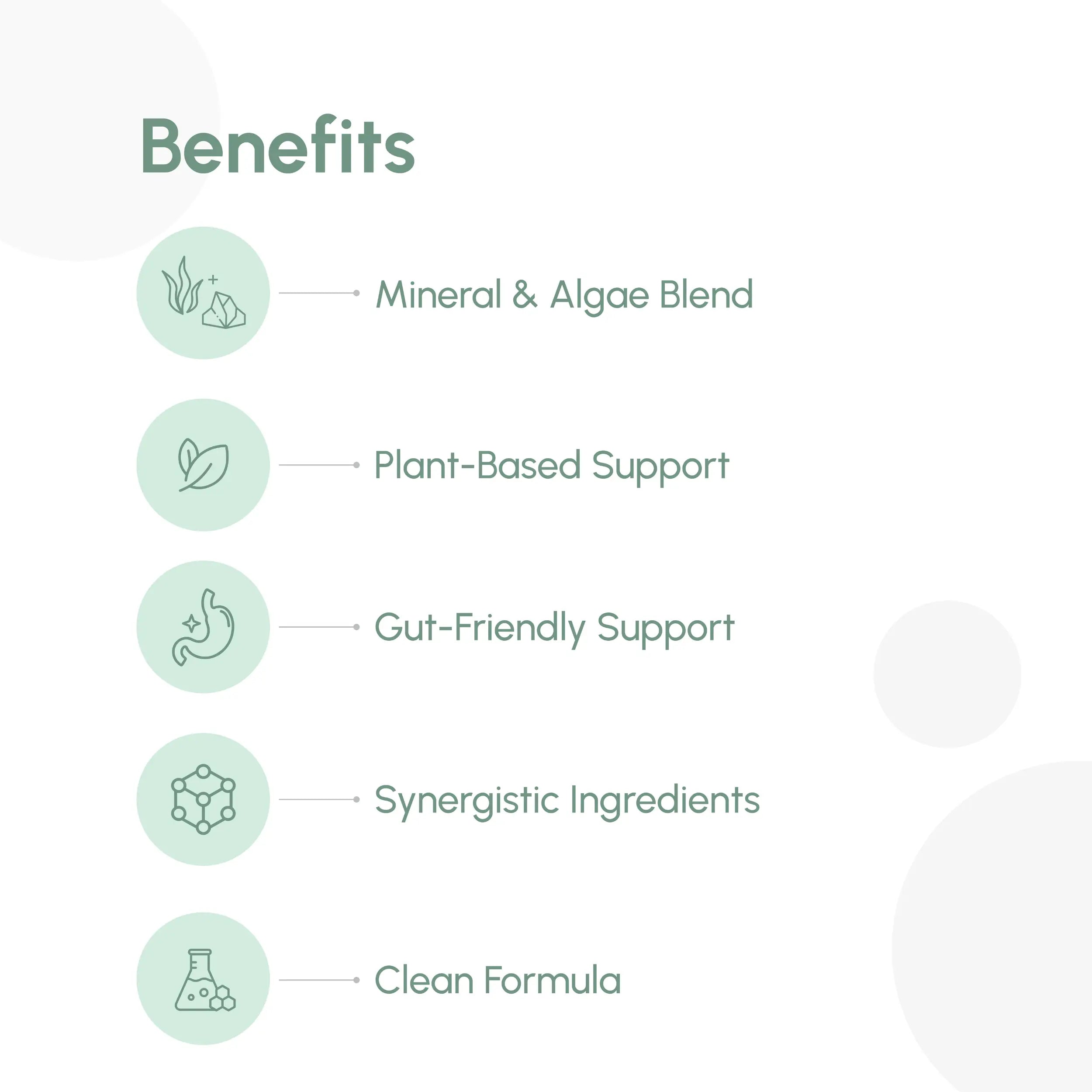 OQO® Toxin Binder | Detox & Gut Support | 90 Vegan Capsules