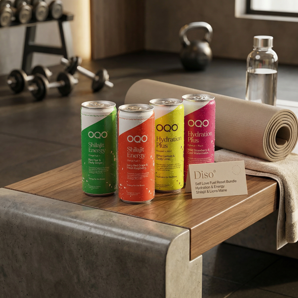 Diso® Self Love Fuel Reset Bundle | Hydration & Energy | Shilajit & Lions Mane