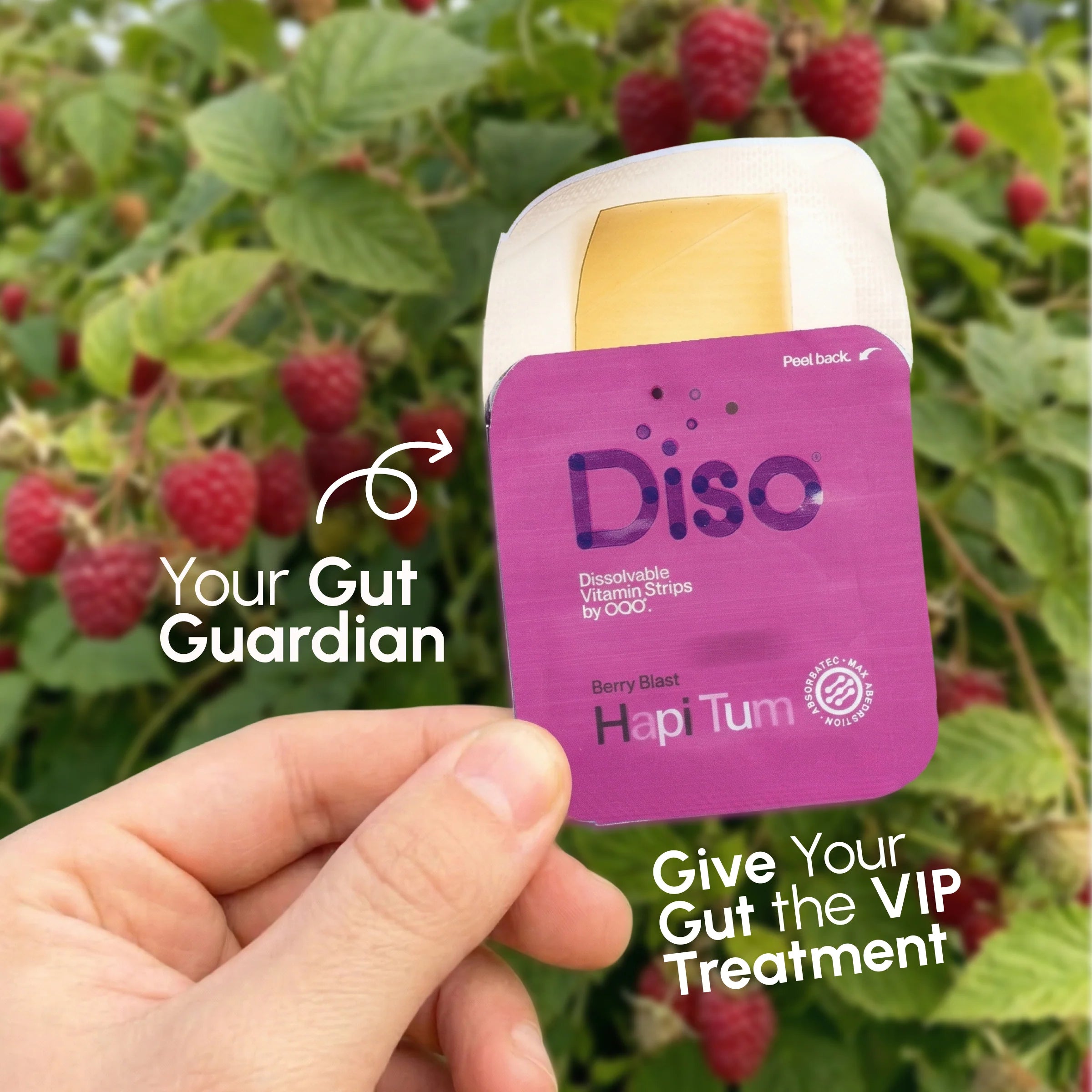 Diso® Dissolvable Strip Supplement | Hapi Tum