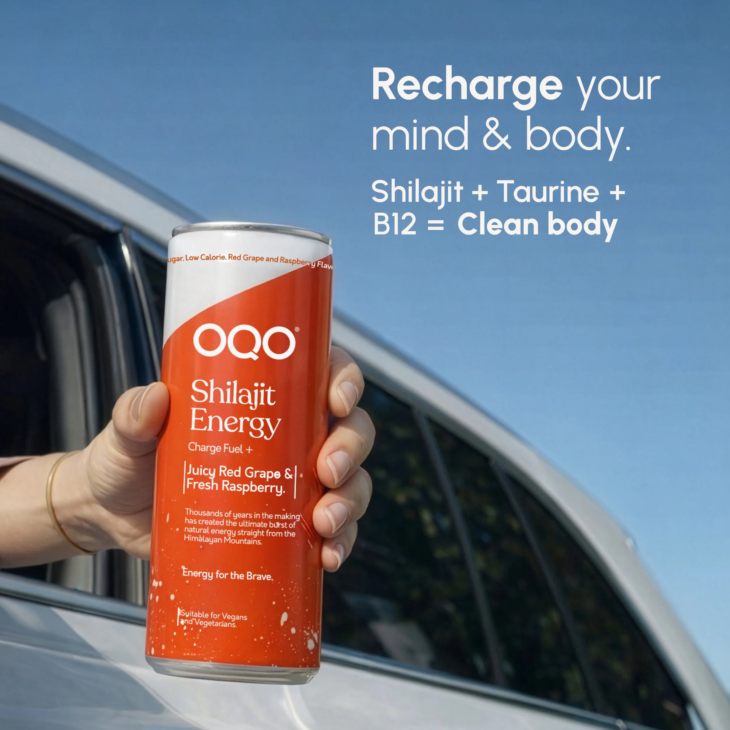 OQO® Shilajit Drink | Energy Boost & Daily Vitality | Red Grape & Raspberry